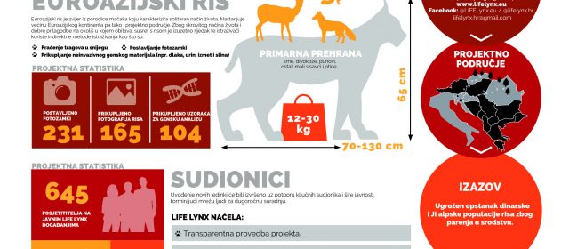 Prva godina LIFE Lynx projekta – infografika