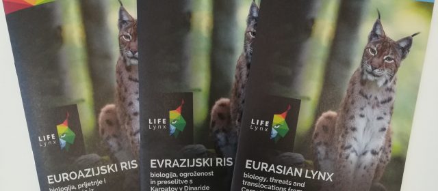 Brochure about lynx available online