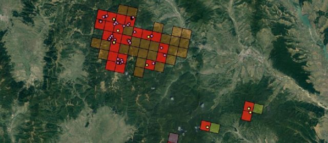 Prvá správa o systematickom monitoringu rysa v odchytových oblastiach rumunských Karpát