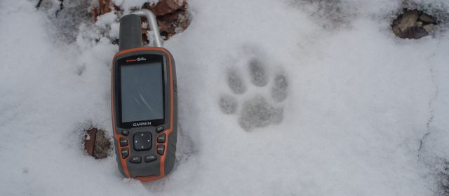 Lynx snow tracking season is open!