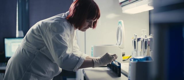 From genetic samples to results – a short summary of lynx genetics in the 2020/2021 monitoring season