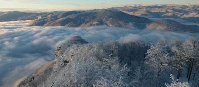 Better knowledge on lynx ecology through the remote detection of relief features