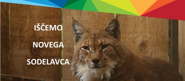 Priložnost za delo na projektu LIFE Lynx