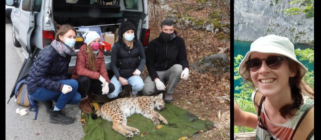 A volunteer’s experience