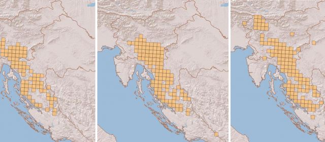 Il terzo rapporto annuale sullo stato della popolazione di lince alpina Dinaric-SE