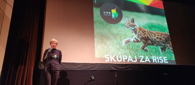 Film screening with a MIGHTY lynx programme in Ilirska Bistrica