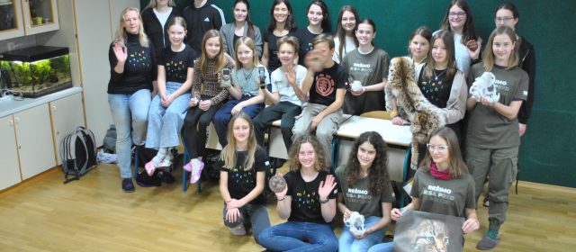 When older pupils teach younger ones – about the lynx, of course