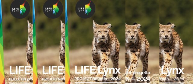 Četrto glasilo projekta LIFE Lynx