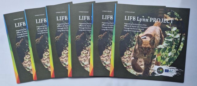 Poljudno poročilo projekta LIFE Lynx