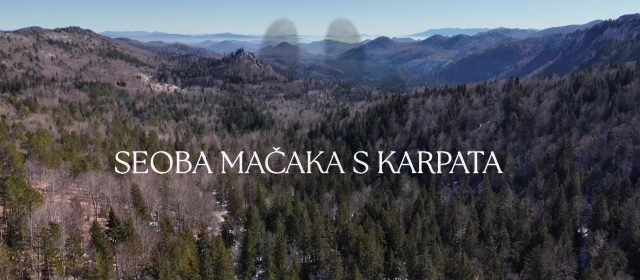 A documentary film about the LIFE Lynx project in Croatia